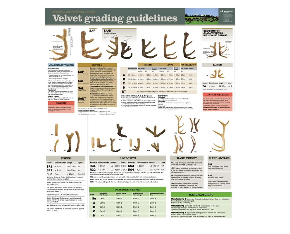 2-Layout편집-Velvet-DINZ-Gr