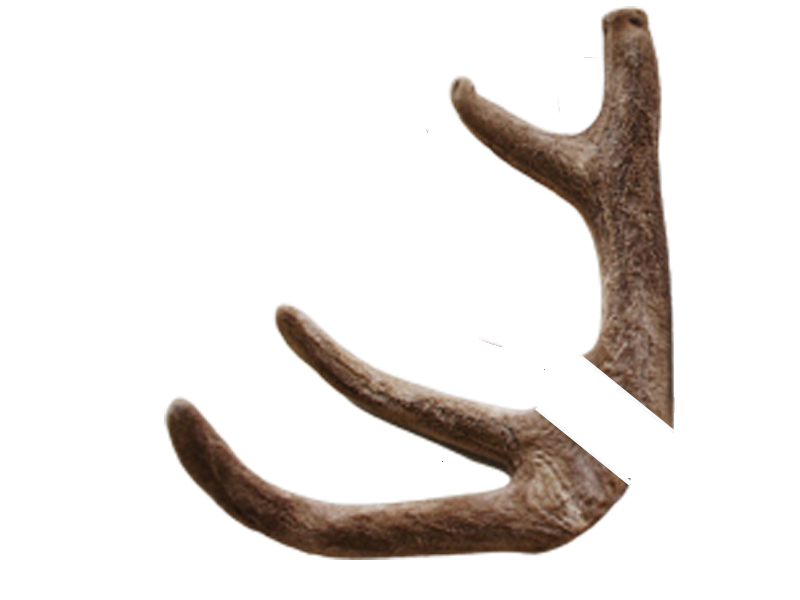 건녹용-상하대(사각-절단)